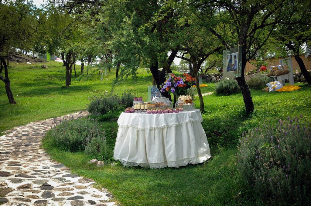 Propuestas, detalles y colores